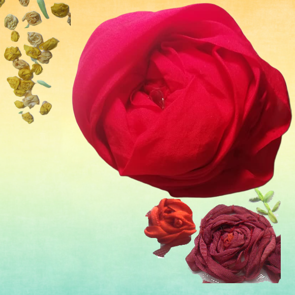 June Roses