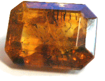 Unusual Faceted Amber